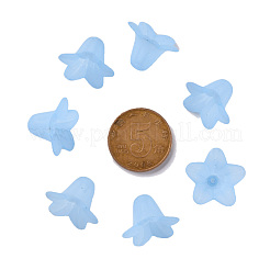 Transparent Acrylic Beads&nbsp;PLF018-06