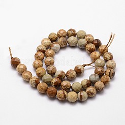 Natural Picture Jasper Beads Strands&nbsp;G-D840-47-4mm
