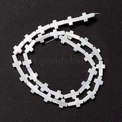 Natural Trochid Shell/Trochus Shell Beads&nbsp;SSHEL-O0001-22A
