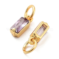 Brass Micro Pave Cubic Zirconia Charms&nbsp;ZIRC-F111-03G-12