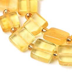 Natural Amber Beads Strands&nbsp;G-C260-A01-04