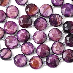 Natural Tiger Eye Beads Strands&nbsp;G-F812-C09-01D