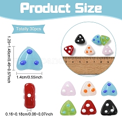 30Pcs 6 Colors Handmade Lampwork Beads&nbsp;LAMP-YW0004-26