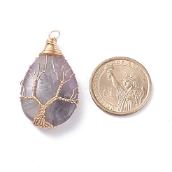 Natural Gemstone Charms&nbsp;PALLOY-JF01340