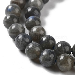 Natural Labradorite Beads Strands&nbsp;G-S333-6mm-035