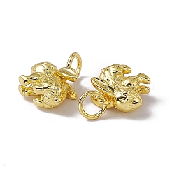 Rack Plating Brass Charms&nbsp;X-KK-C007-17G
