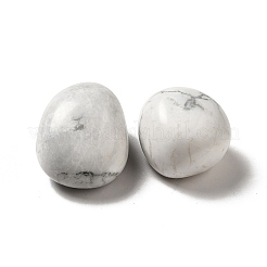 Natural Howlite Beads&nbsp;G-G979-A04