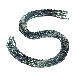 Natural Blue Tourmaline Beads Strands&nbsp;G-G294-A02-3mm-01