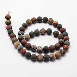 Natural Polychrome Jasper/Picasso Stone/Picasso Jasper Frosted Bead Strands&nbsp;G-O155-03A-8mm