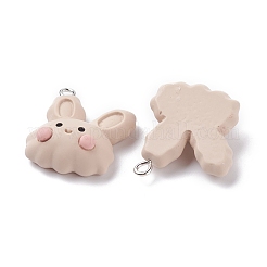 Opaque Resin Pendants&nbsp;RESI-F030-02