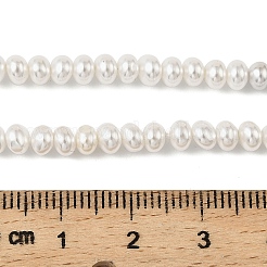 Electroplated Shell Pearl Beads Strands&nbsp;BSHE-Z009-11B