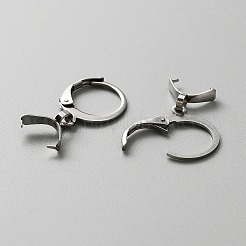 304 Stainless Steel Leverback Earring Finding&nbsp;LS-STAS-WH0022-87P