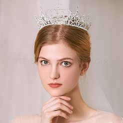 Crown Glass Rhinestone Patches&nbsp;DIY-WH0260-81A