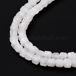 Natural Rainbow Moonstone Beads Strands&nbsp;G-K315-B08