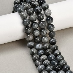 Natural Hawk's Eye Beads Strands&nbsp;G-S333-10mm-027