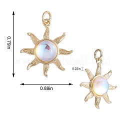 4Pcs 2 Colors Glass Pendants&nbsp;GLAA-SZ0001-91
