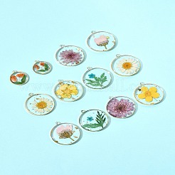 12Pcs 6 Styles Transparent Clear Epoxy Resin Pendants&nbsp;RESI-FS0001-88B