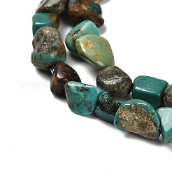 Natural HuBei Turquoise Beads Strands&nbsp;G-P497-01E-19