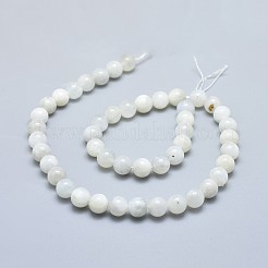 Natural Rainbow Moonstone Beads Strands&nbsp;G-F674-08-8mm