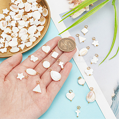 80Pcs 10 Styles Natural Freshwater Shell Pendants&nbsp;PALLOY-AB00156
