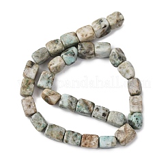 Natural Chrysocolla and Lapis Lazuli Beads Strands&nbsp;G-D098-D12