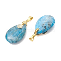 Natural Apatite Pendants&nbsp;PALLOY-JF05729