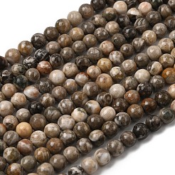 Natural Fossil Coral Beads Strands&nbsp;G-G212-6mm-31