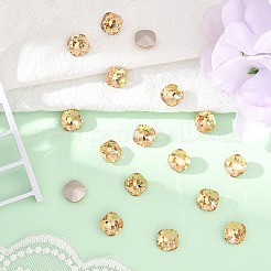Preciosa&reg MAXIMA Crystal Fancy Stones&nbsp;X-PRC-FC12-10330