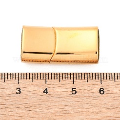 Ion Plating(IP) 304 Stainless Steel Magnetic Clasps with Glue-in Ends&nbsp;STAS-G136-05G