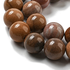 Natural Petrified Wood Round Bead Strands&nbsp;G-F266-08-8mm