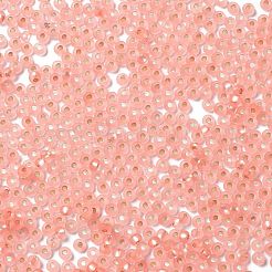 8/0 Glass Seed Beads&nbsp;SEED-Z001-C-E07