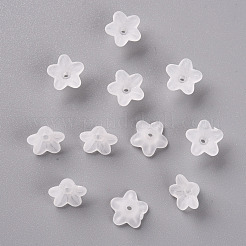 Transparent Acrylic Beads&nbsp;PL554