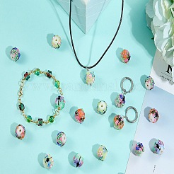 5Pcs Handmade Lampwork Beads&nbsp;LAMP-SZ0001-50C