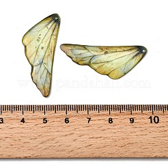 2Pcs Transparent Epoxy Resin Pendants&nbsp;RESI-A044-04C