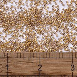MIYUKI Delica Beads&nbsp;SEED-JP0008-DB2043