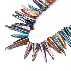 Electroplated Natural Freshwater Shell Beads&nbsp;SHEL-N026-197A