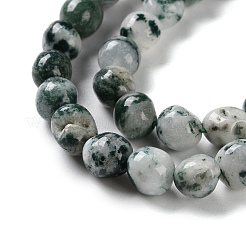 Natural Tree Agate Beads Strands&nbsp;G-NH0035-01