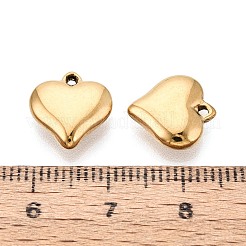 304 Stainless Steel Pendants&nbsp;STAS-T075-26G