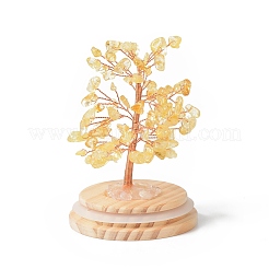 Natural Yellow Quartz Chips Money Tree in Dome Glass Bell Jars with Wood Base Display Decorations&nbsp;DJEW-B007-04F