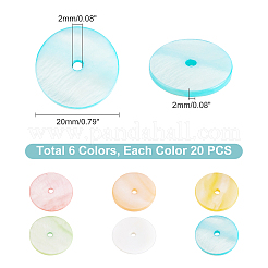 120Pcs 6 Colors Dyed Natural Shell Beads&nbsp;SHEL-PH0001-23