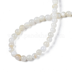 Natural Freshwater Shell Beads Strands&nbsp;X-BSHE-T009A-01A