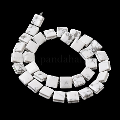Natural Howlite Beads Strands&nbsp;G-L596-A19-01