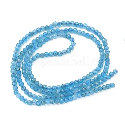 Natural Apatite Beads Strands&nbsp;G-Z160-A01-2mm