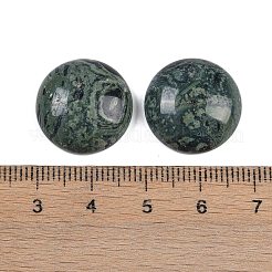 Natural Kambaba Jasper Cabochons&nbsp;G-T020-18mm-34