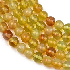 Handmade Lampwork Beads Strand&nbsp;LAMP-B056-8mm