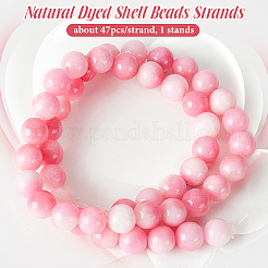 1 Strand Natural Dyed Shell Beads Strands&nbsp;SHEL-BC0001-07