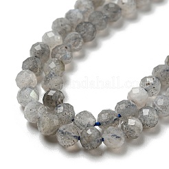 Faceted Round Natural Labradorite Bead Strands&nbsp;G-I156-03-4mm