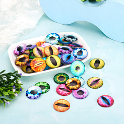 Eye Printed Glass Cabochons&nbsp;GGLA-BT0001-01