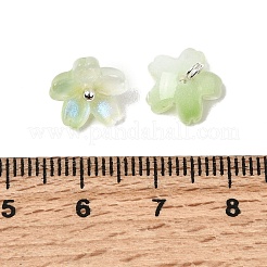 Glass Charms&nbsp;GLAA-G127-05B