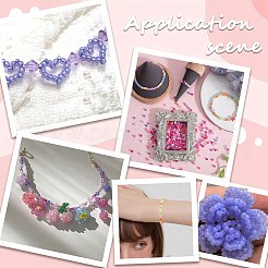 156G 12 Style Glass Seed Beads&nbsp;SEED-SC0001-33A